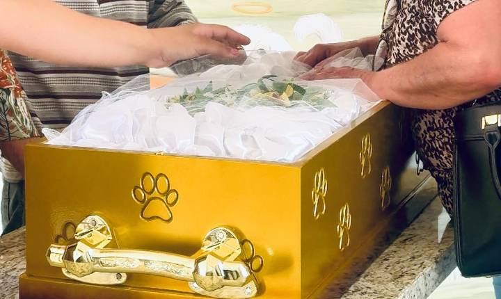 Bragança Paulista registra primeiro velório e sepultamento pet da história