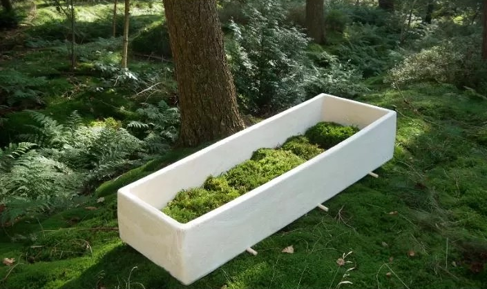 Caixões ecológicos revolucionam práticas funerárias