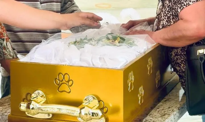 Bragança Paulista registra primeiro velório e sepultamento pet da história