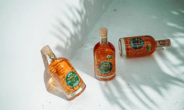 Parceria estratégica entre Bibit e Beijo da Onça consolida a cachaça brasileira no mercado de luxo